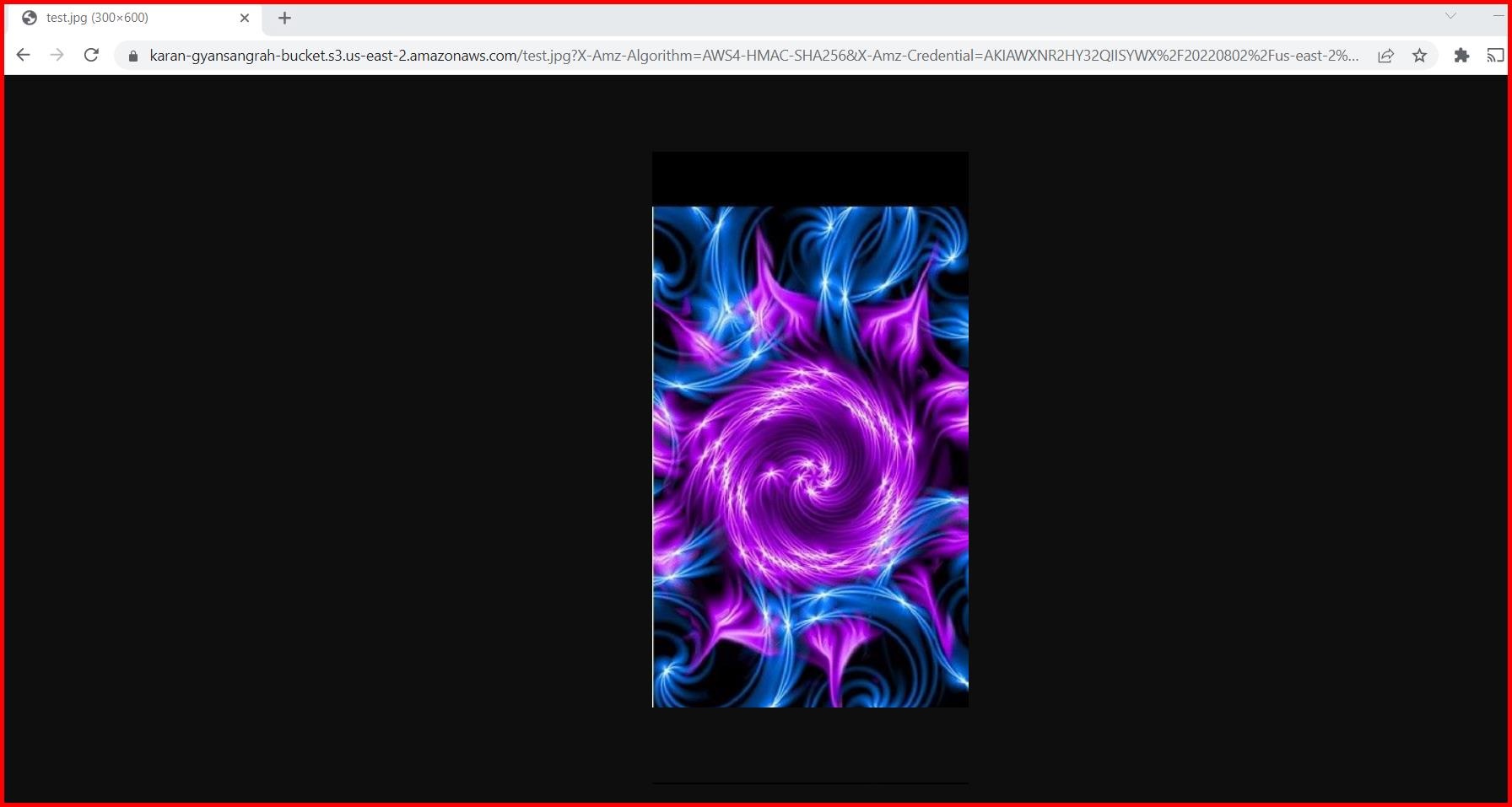 Picture showing accessing the file over the presigned URL
